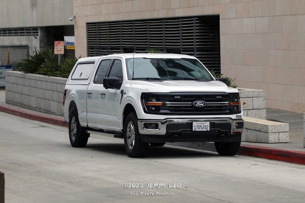 F-150 XLT