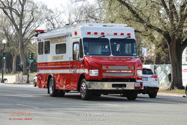 Freightliner MT-55/LDV