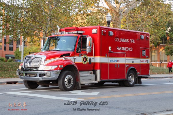 International DuraStar / Horton Type I