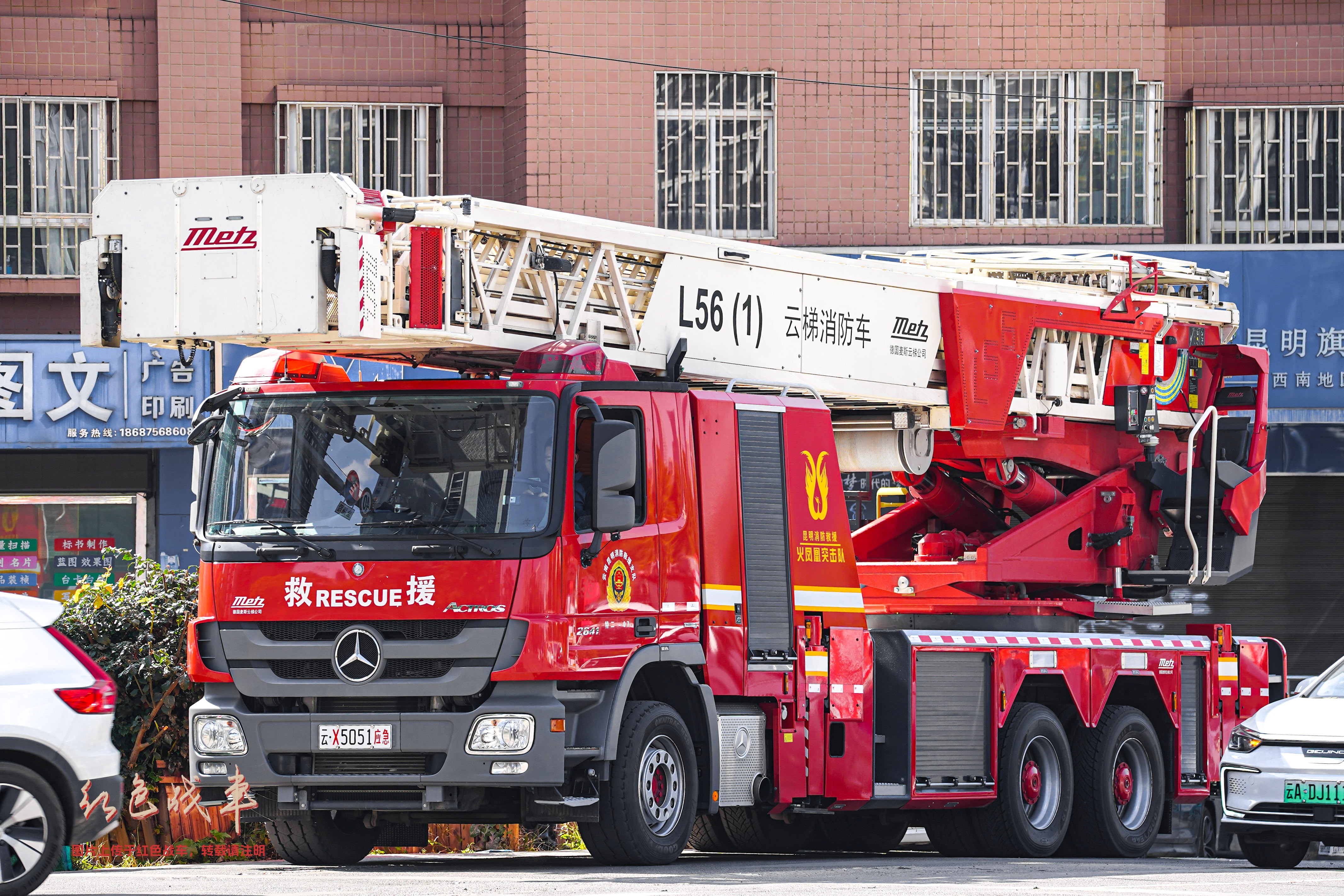 L56(1)
