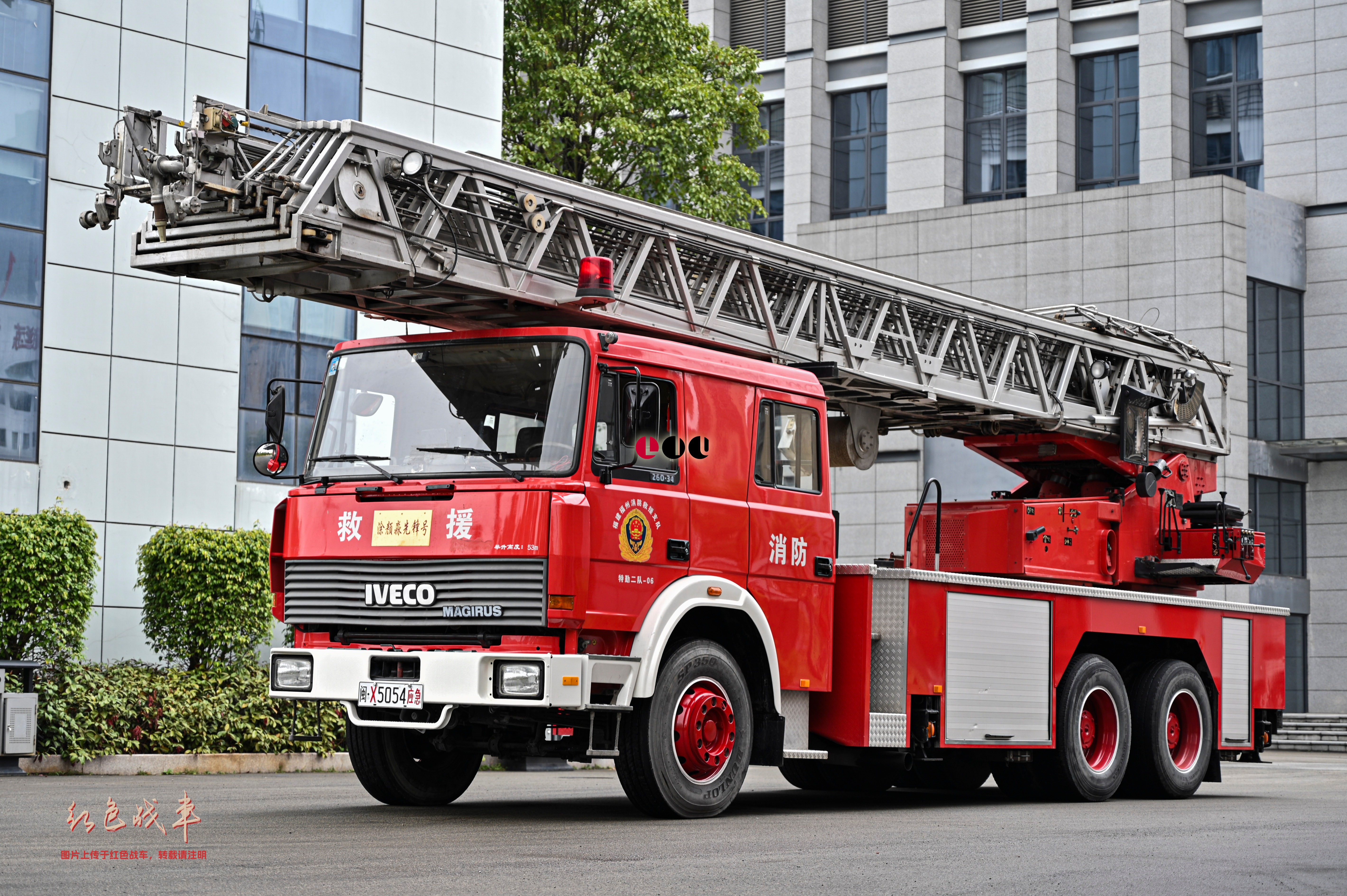 DL50