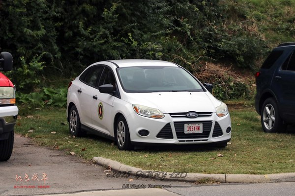 Focus Sedan