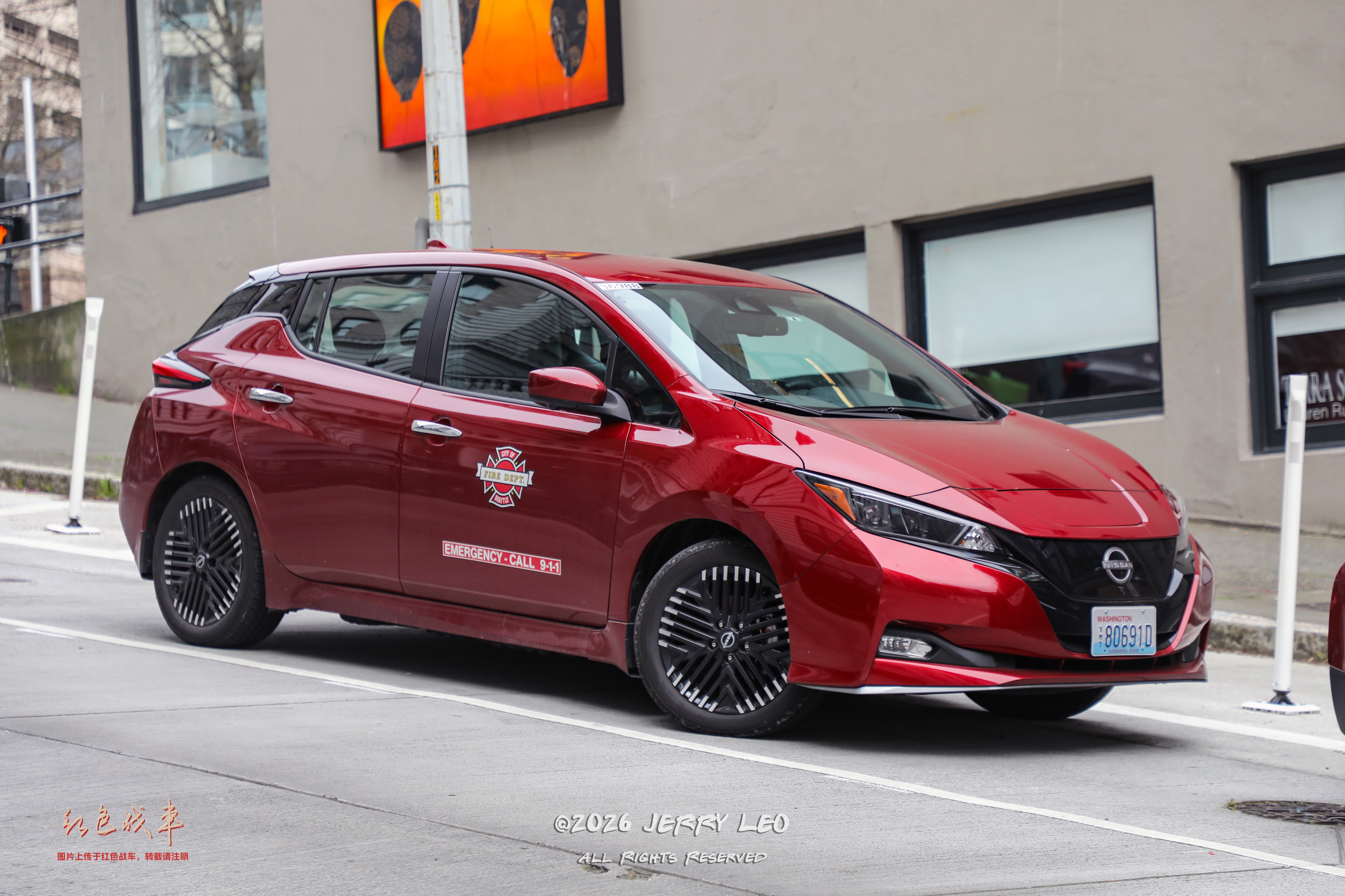 LEAF SV PLUS (ZE1)