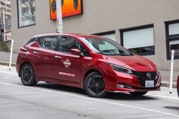 LEAF SV PLUS (ZE1)